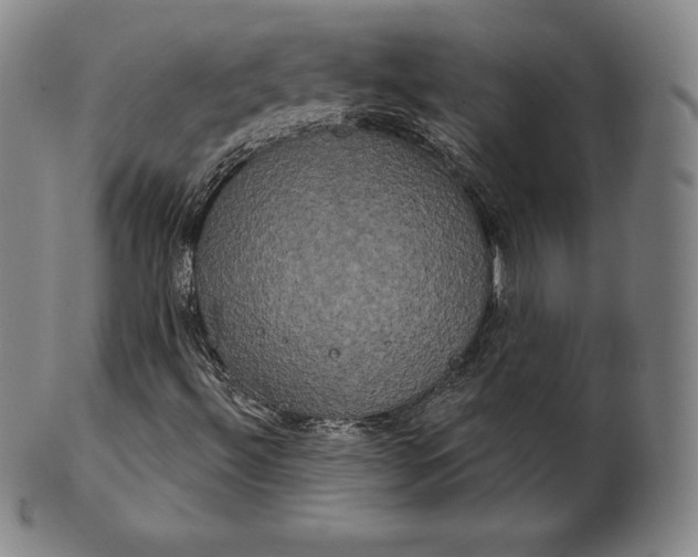 X0000102241492200808081423