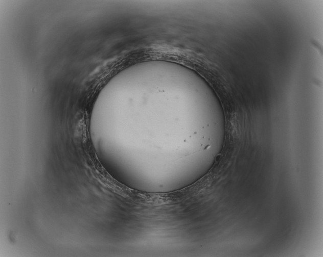 X0000102241493200808081423