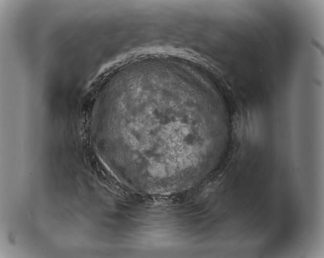 X0000102241494200808081423