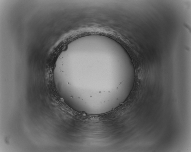 X0000102241495200808081424