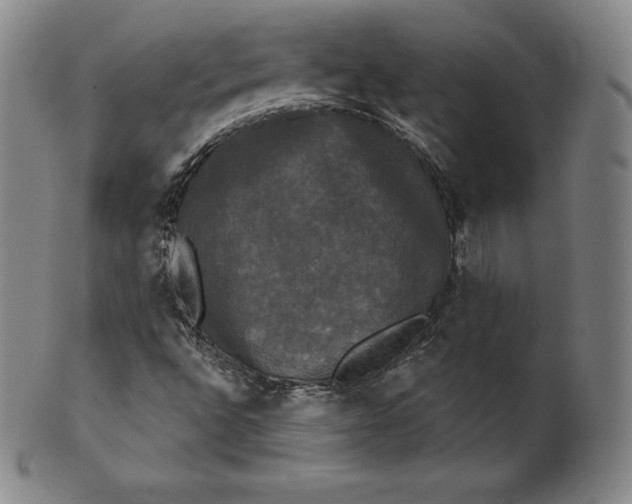 X0000102241496200808081424