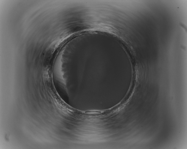 X0000102241497200808081424