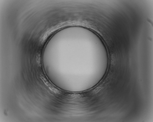 X0000102241499200808081424