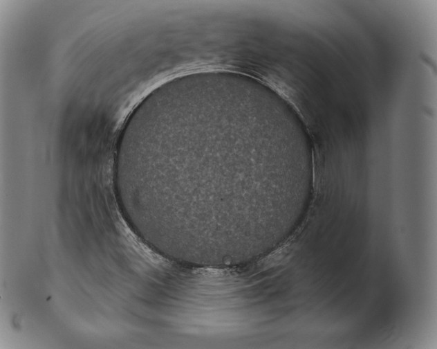 X0000102241500200808081424