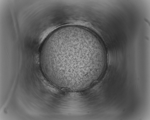 X0000102241501200808081424