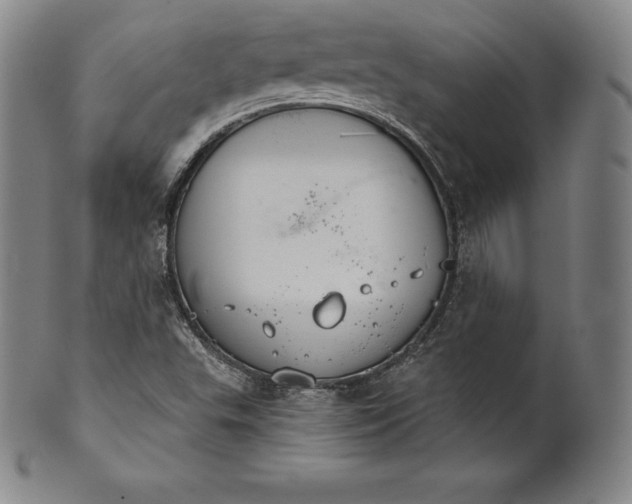 X0000102241503200808081424