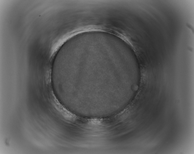 X0000102241504200808081424