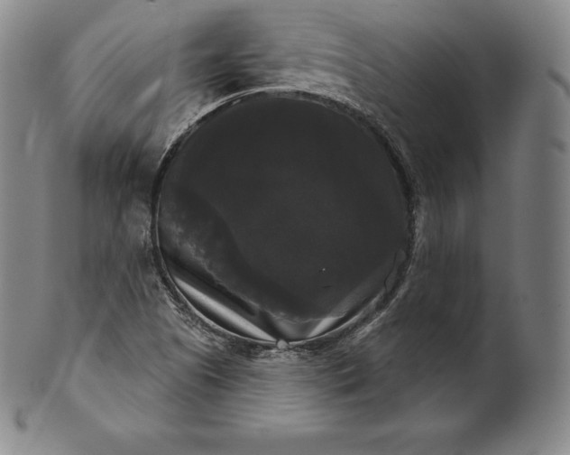 X0000102241505200808081424