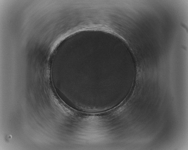 X0000102241506200808081424