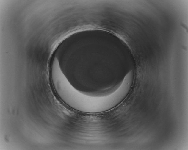 X0000102241508200808081424