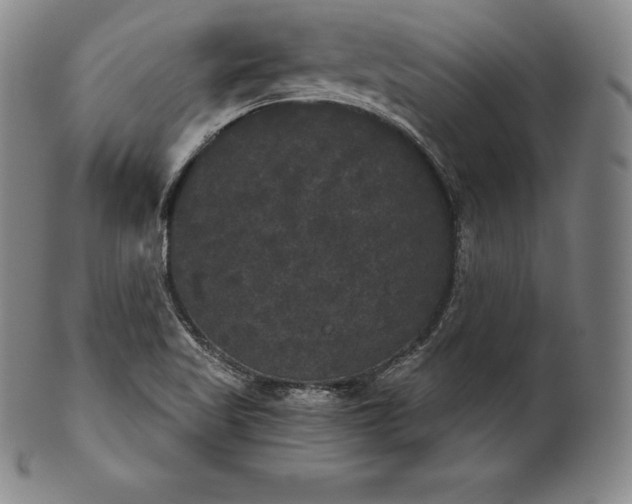 X0000102241509200808081424