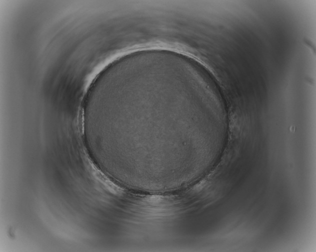 X0000102241510200808081424