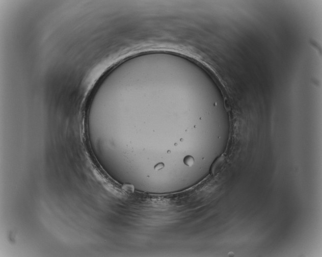 X0000102241511200808081424