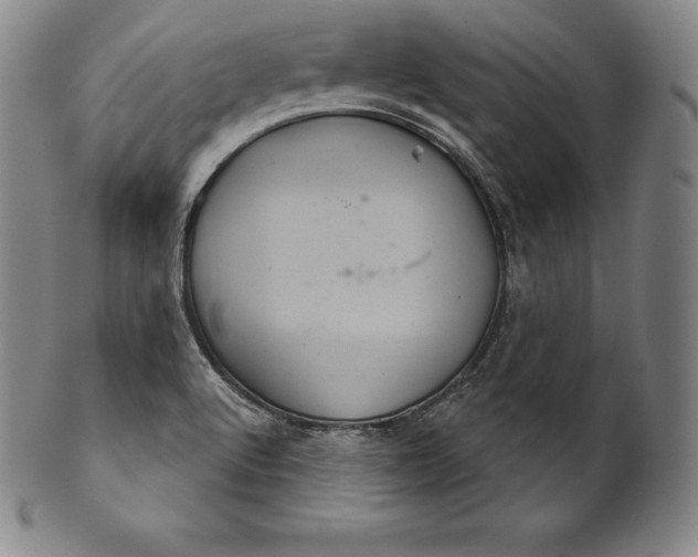 X0000102241512200808081424