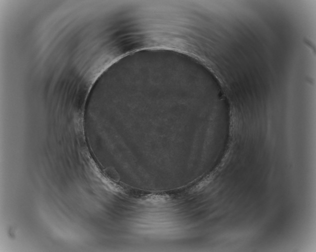 X0000102241513200808081424