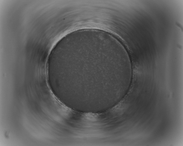 X0000102241514200808081424