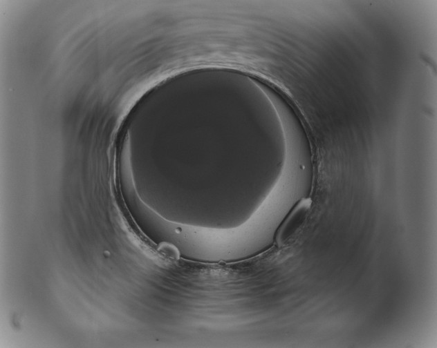 X0000102241515200808081424