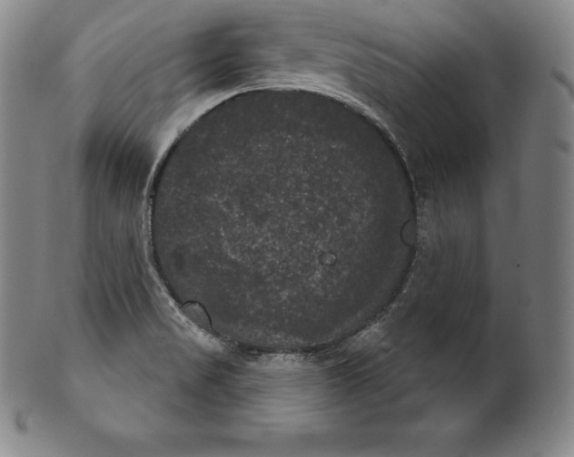 X0000102241517200808081424