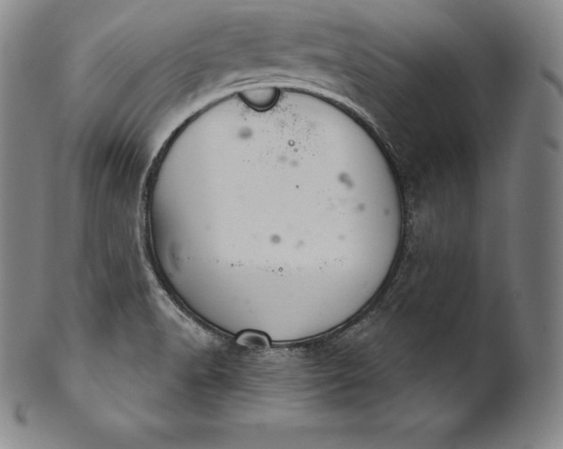 X0000102241518200808081424