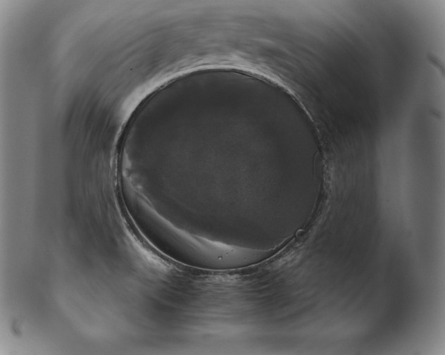 X0000102241519200808081424