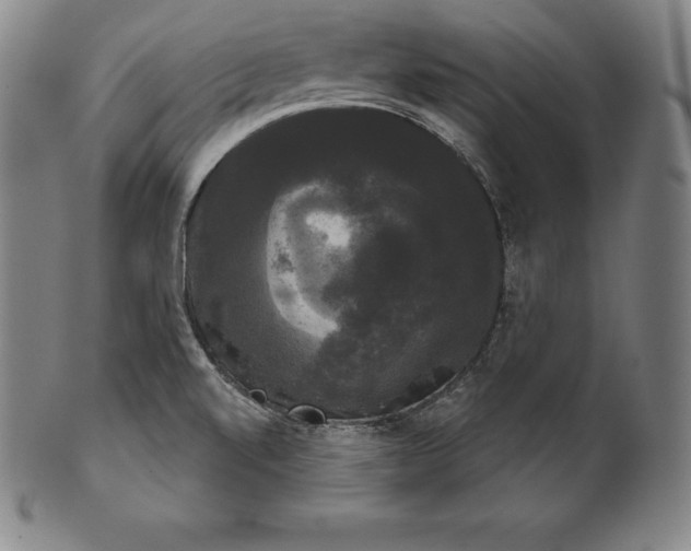 X0000102241520200808081424