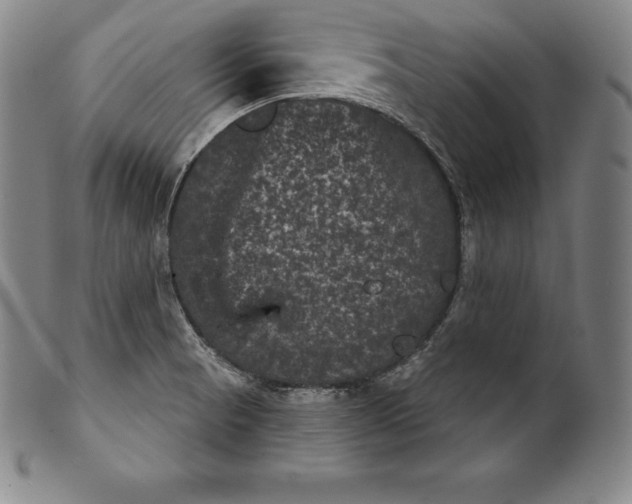 X0000102241521200808081424