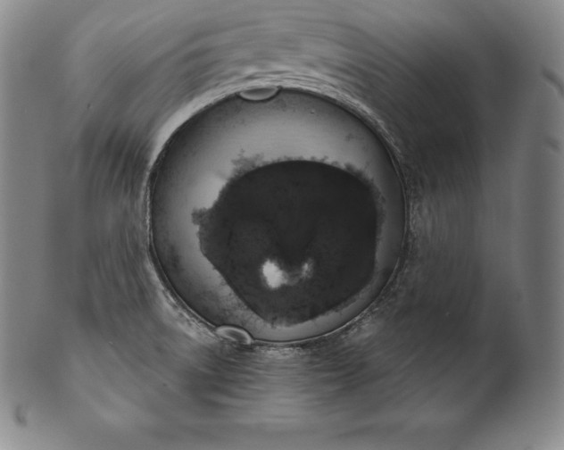 X0000102241522200808081424