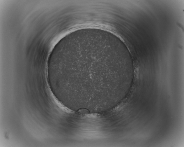 X0000102241523200808081424