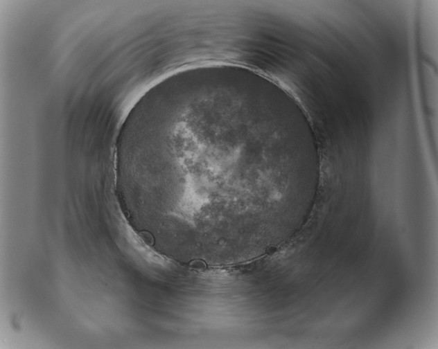 X0000102241524200808081424