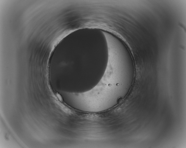 X0000102241525200808081424