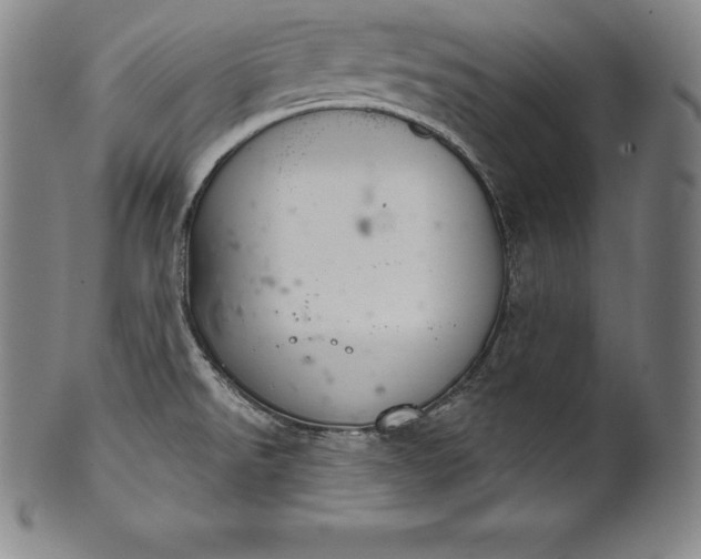 X0000102241526200808081424