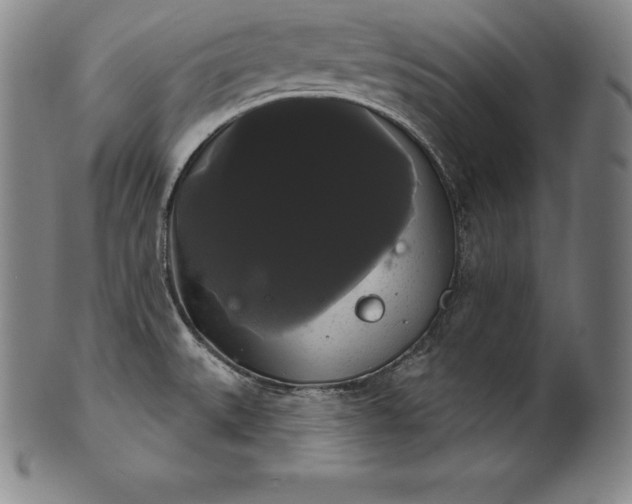 X0000102241527200808081424