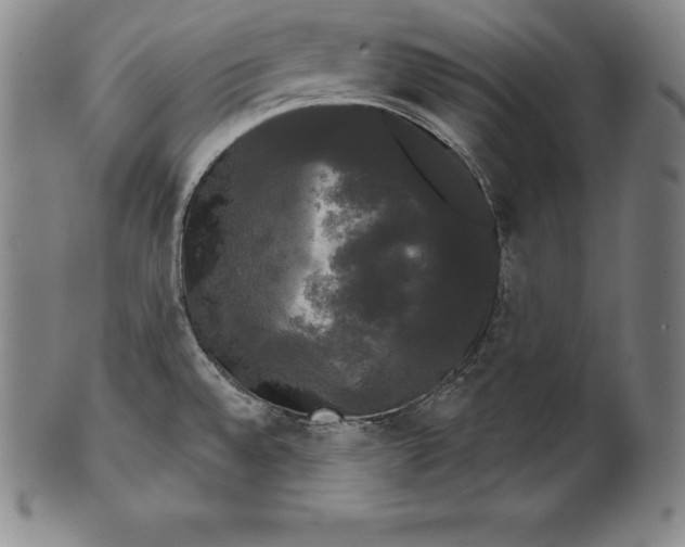 X0000102241528200808081424