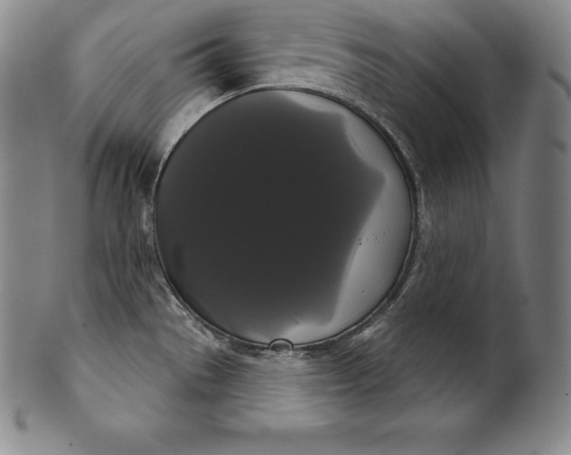 X0000102241529200808081424