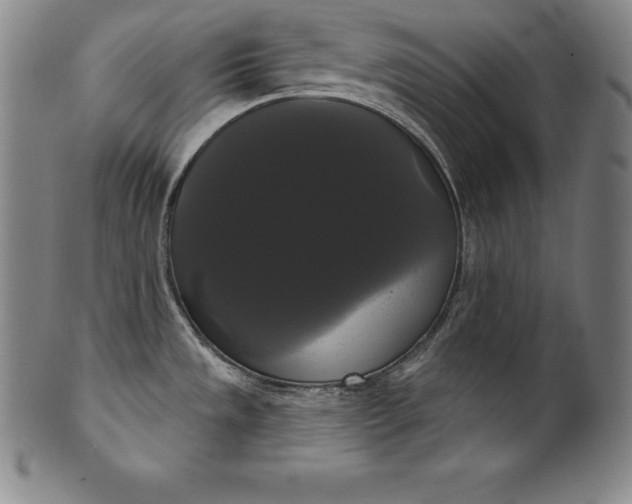 X0000102241533200808081424