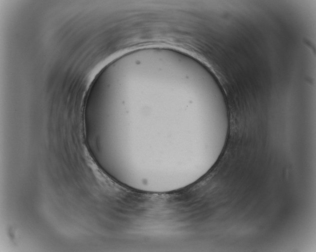 X0000102241534200808081424