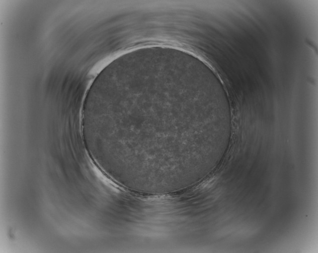 X0000102241535200808081424