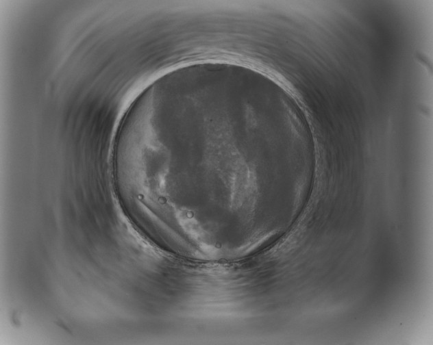 X0000102241536200808081424