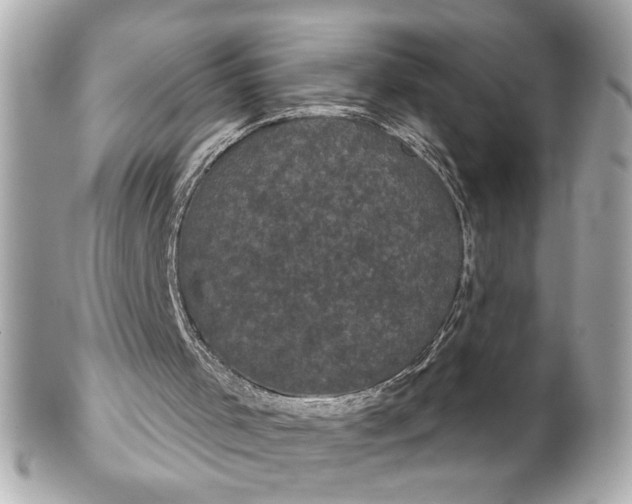 X0000102240001200808151804