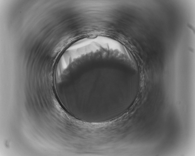 X0000102240002200808151804