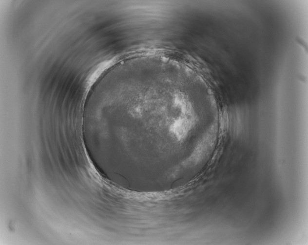 X0000102240003200808151804