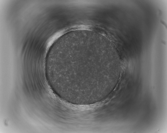 X0000102240006200808151804