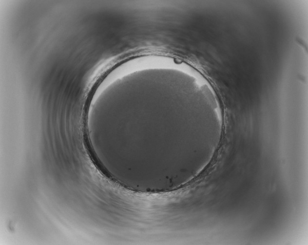 X0000102240007200808151804