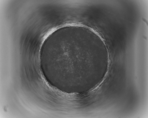 X0000102240008200808151804