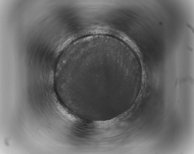 X0000102240009200808151804