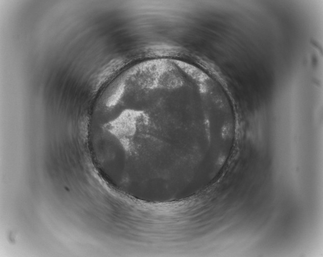 X0000102240010200808151804