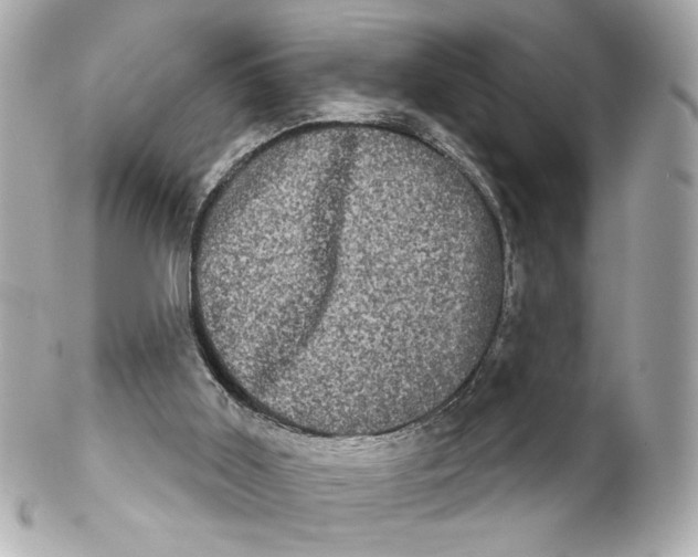 X0000102240011200808151804