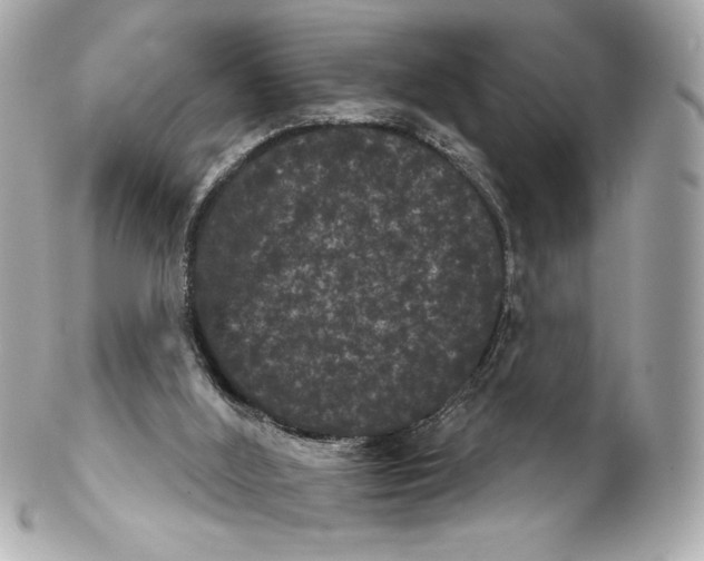 X0000102240012200808151804