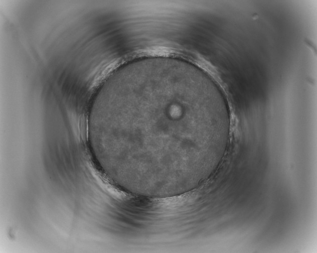 X0000102240013200808151804