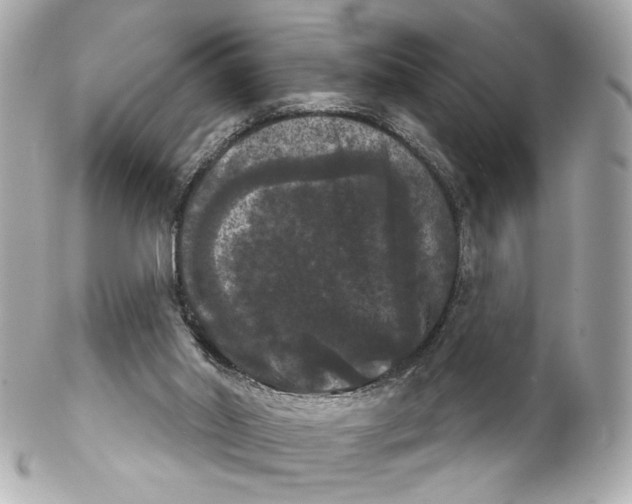 X0000102240014200808151804